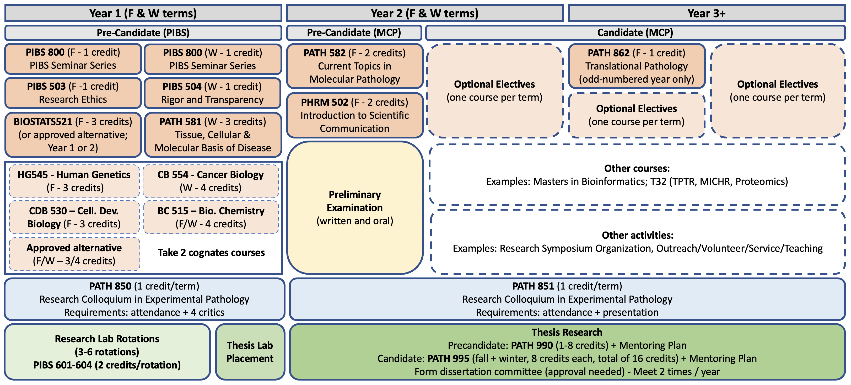 Overview of the MCP Curriculum.